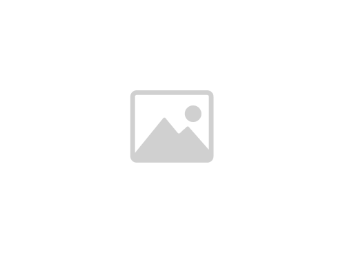 iFi AUDIO