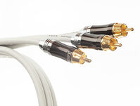 TAGA Harmony TAVC-SY 5m Kabel do subwoofera typ Y - 3