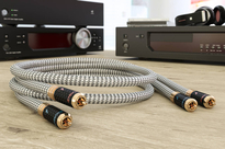Ricable Invictus Signal Reference RCA - 3