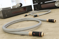 Ricable Invictus Signal Reference RCA - 4