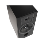 Indiana Line DIVA 3 Kolumny podstawkowe + Denon RCD-N12 DAB Sieciowy Amplituner Stereo - 8