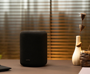 WiiM Sound Lite Inteligentny głośnik 24-bit/192 kHz  100 W szczytowe AI RoomFit Głośniki surround - 11