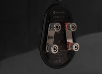 Monitor Audio Silver 300 7G Limited Edition - Kolumna podłogowa Carbon Black Metallic - 7