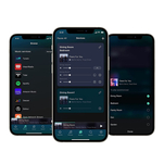 Zestaw Musical Fidelity B1xi Zintegrowany wzmacniacz stereo EISA + Wiim Pro odtwarzacz sieciowy - 17