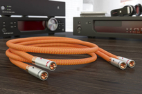 Ricable Dedalus Signal RCA - 3