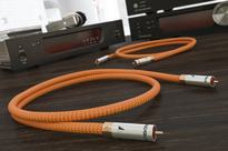 Ricable Dedalus Signal RCA - 4