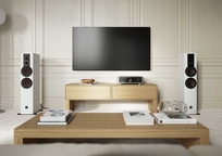 Dali RUBIKORE 6 Kolumny podłogowe - 29