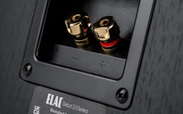 ELAC Debut 3.0 B6.3 Kolumna podstawkowa + WiiM Amp Ultra Wzmacniacz Stereo - 8