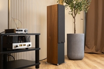 ELAC Debut 3.0 F6.3 Kolumny podłogowe Walnut + Yamaha R-N600A Amplituner stereo z MusicCast z DAB+ - 5