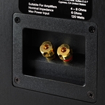 ELAC Debut Reference B6 DBR-62 + EverSolo PLAY Wzmacniacz ALL-IN-ONE - 11